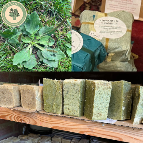 Herbal Soap Selection - By Magalie