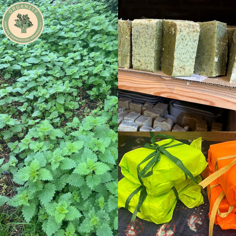 Herbal Soap Selection - By Magalie