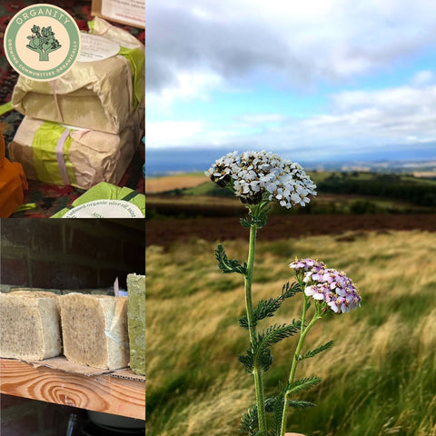 Herbal Soap Selection - By Magalie