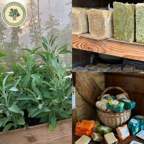 Herbal Soap Selection - By Magalie