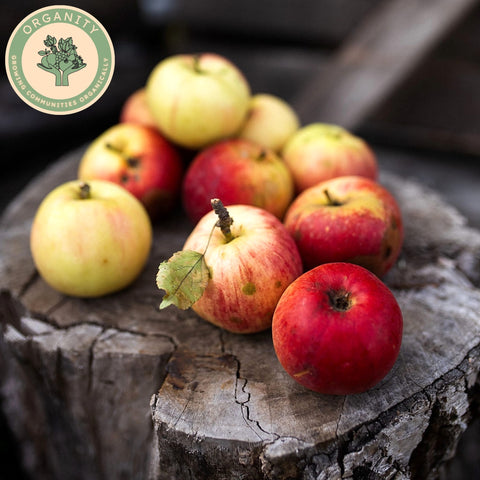 Apples - Seasonal