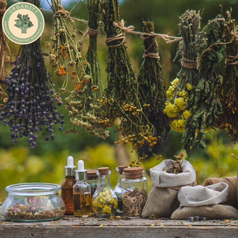 Herbal Tea Selection - By Magalie