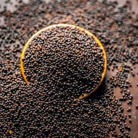 Mustard - Seeds