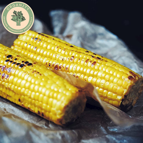 Sweetcorn