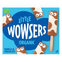 Ice Cream Lollies - Chocolate & vanilla