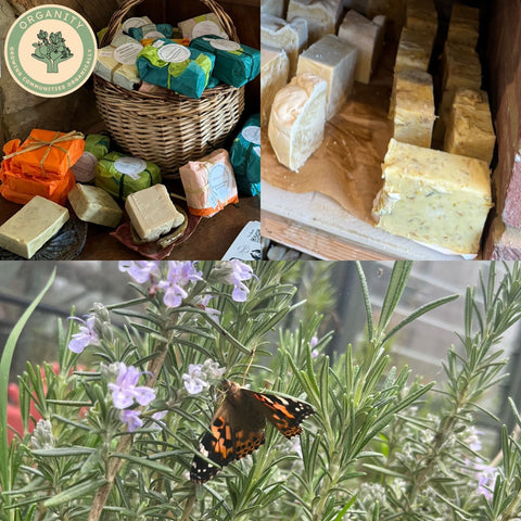 Herbal Soap Selection  - By Magalie