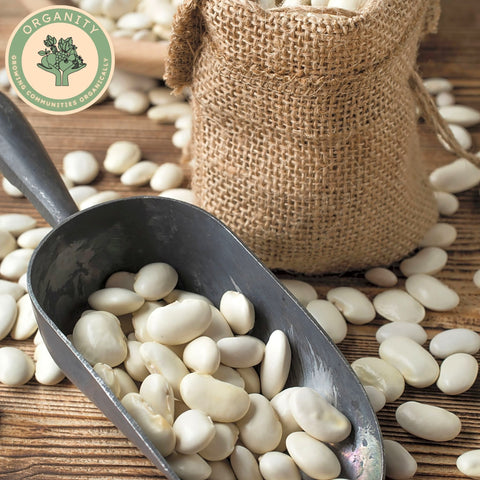 Beans - Butter