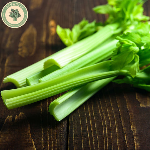 Celery