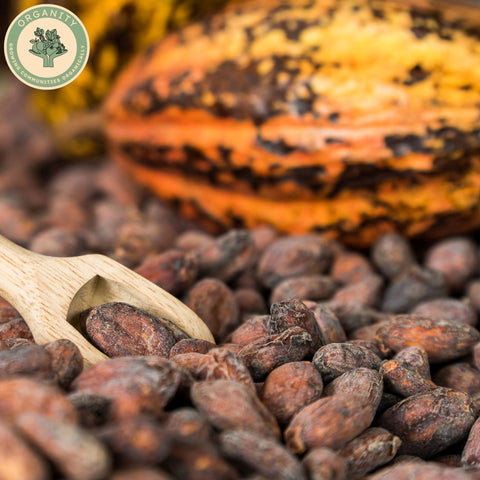 Cacao Nibs