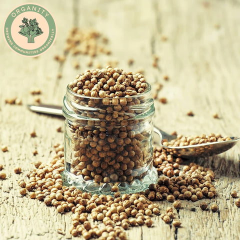 Coriander Seeds