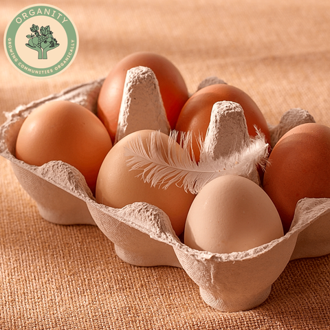 Eggs