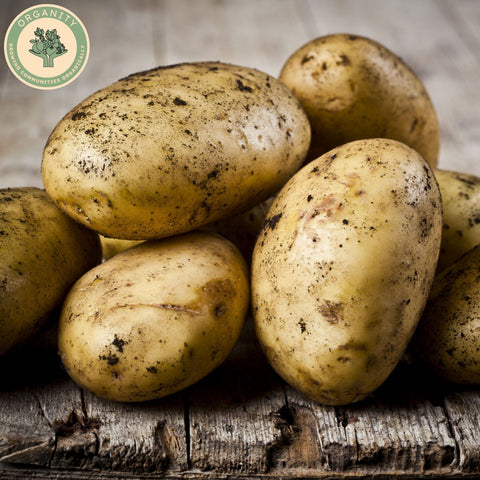 Potatoes