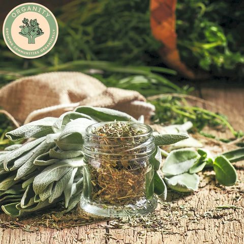Sage - Dried
