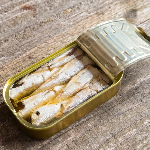 Fish - Sardines in Olive Oil