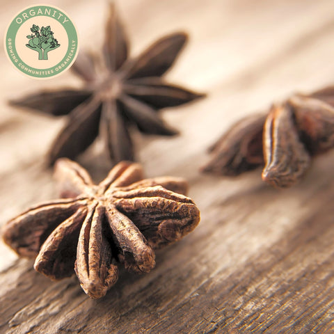 Spice - Star Anise