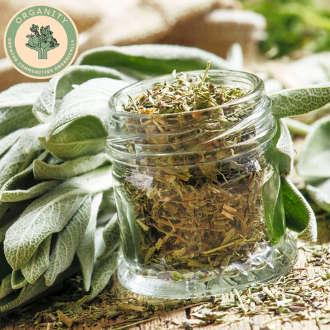 Thyme - Dried