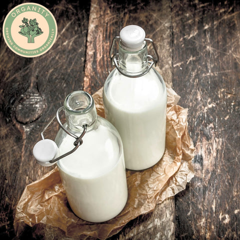 Milk - Whole